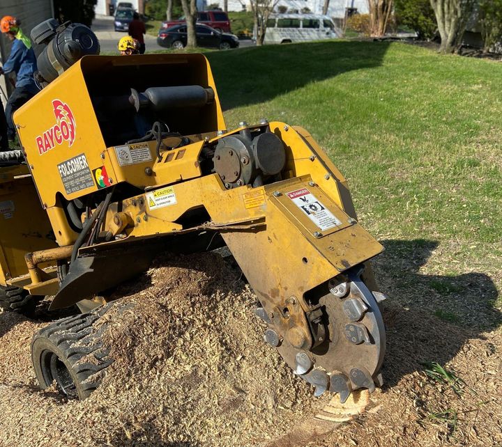 An image of  stump removal and grinding services in Upper Marlboro, MD