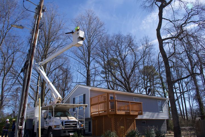 An image of tree pruning in Upper Marlboro, MD