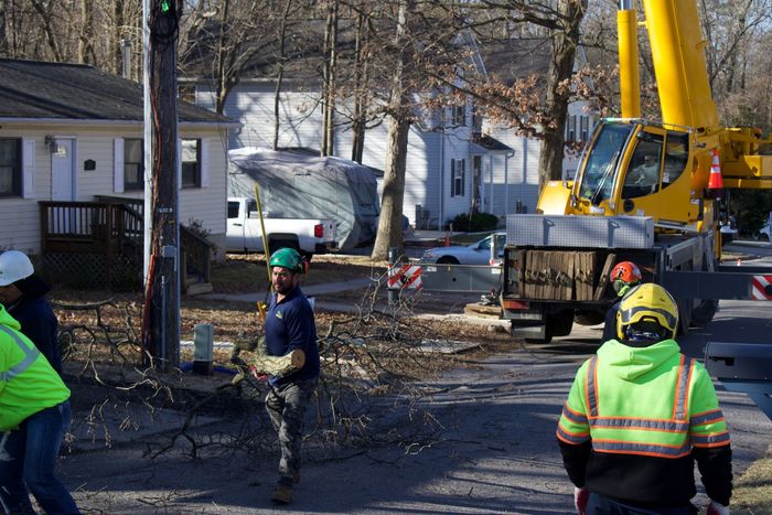 An image of Tree Service Company in Upper Marlboro MD and beyond