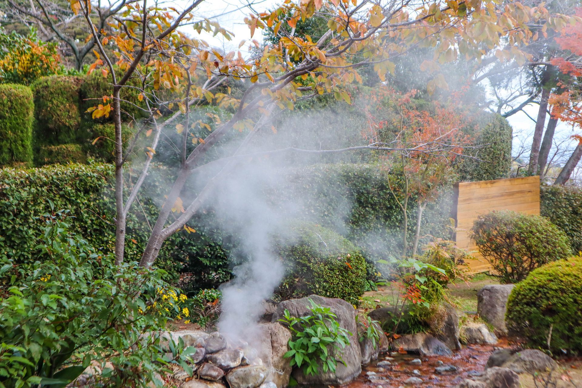 Pest control in a lush garden