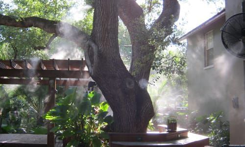 Misting system around a tree in a backyard, providing a cooling effect.