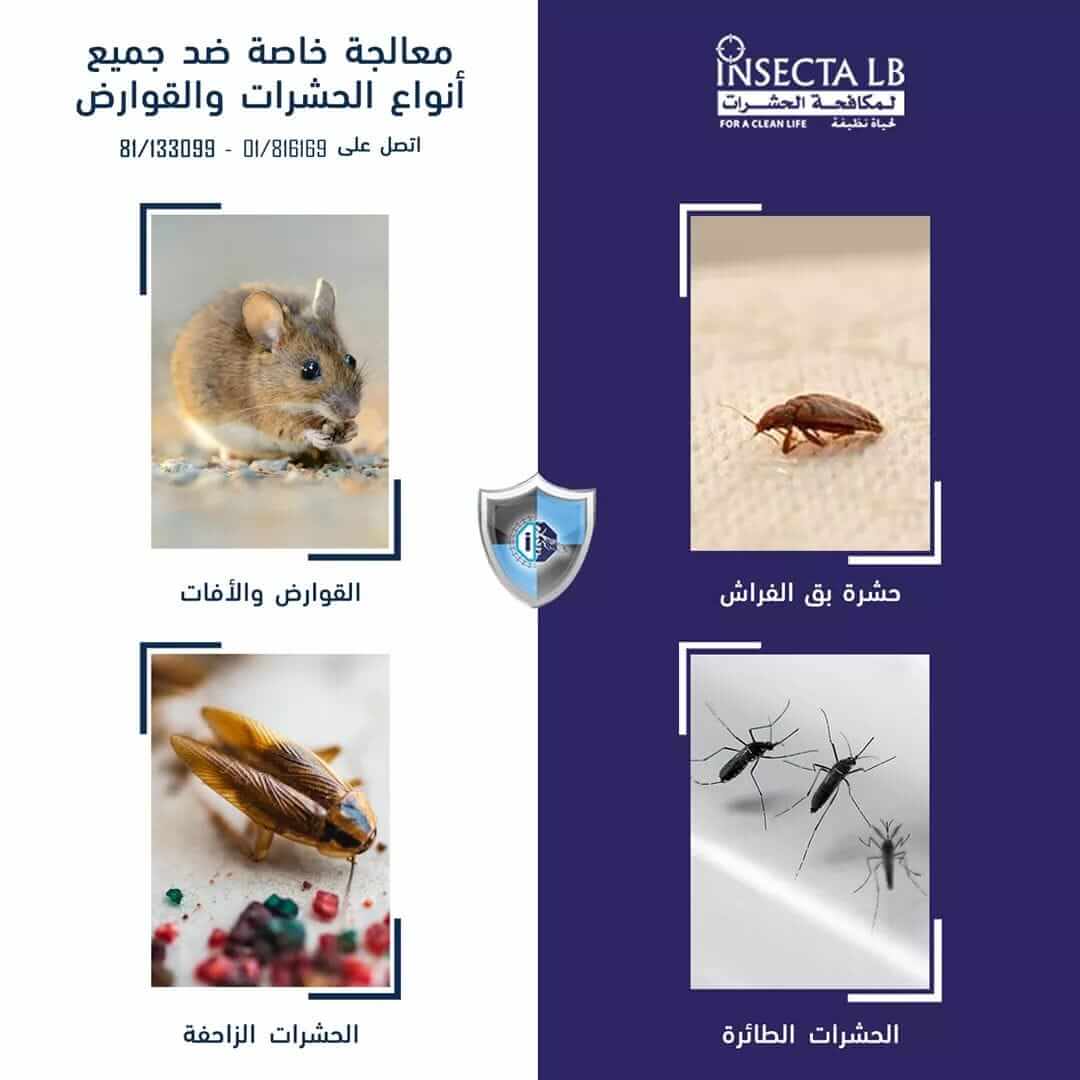 Advertisement for pest control services, featuring a mouse, bed bug, cockroaches, and mosquitoes.