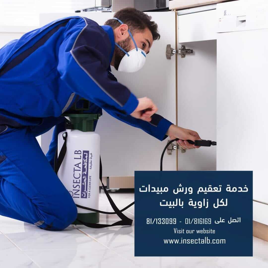 Man in blue suit spraying pesticide inside a kitchen cabinet, ad for pest control services.