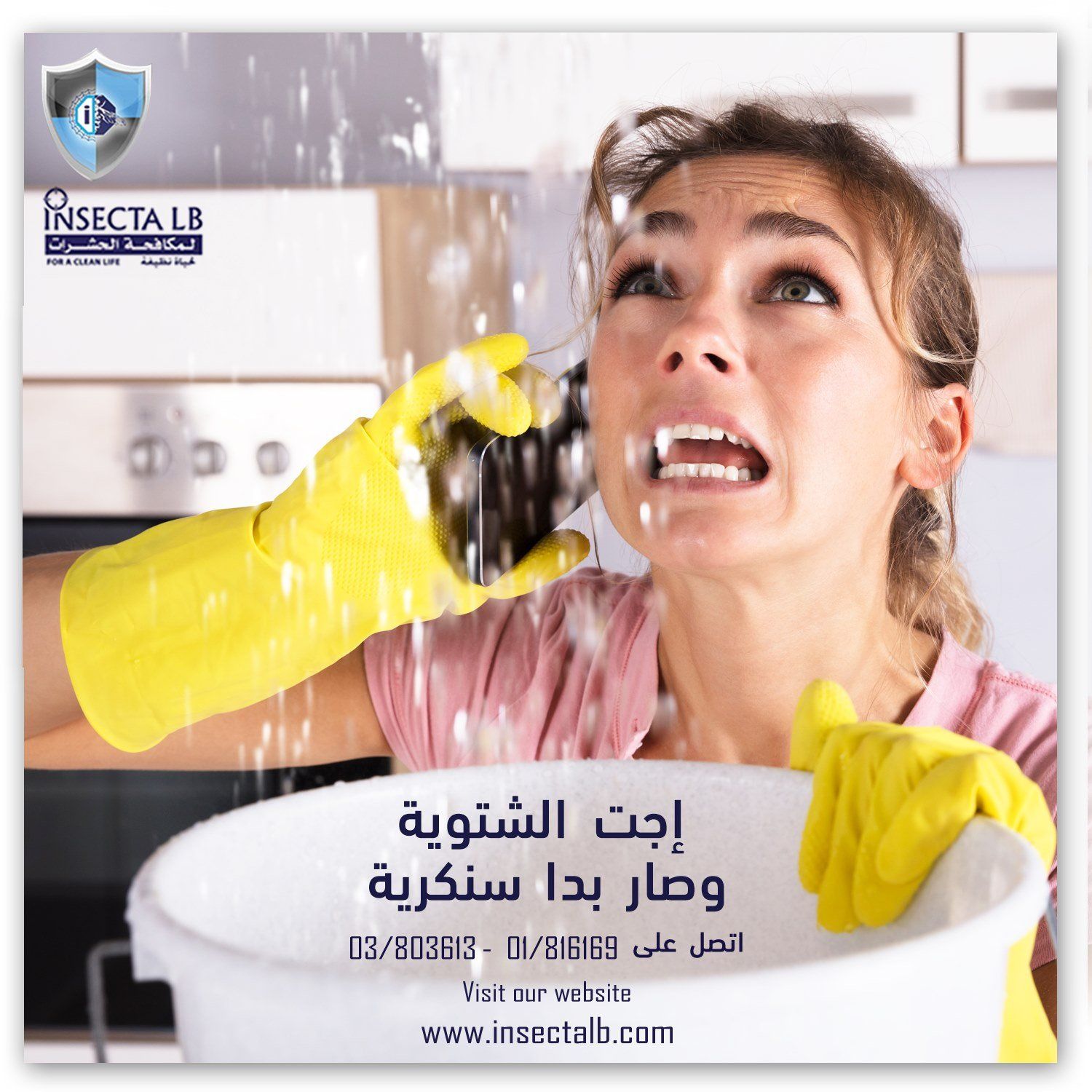 Woman in yellow gloves reacts to water leaking from ceiling into a bucket. Arabic text. Insecta LB logo.