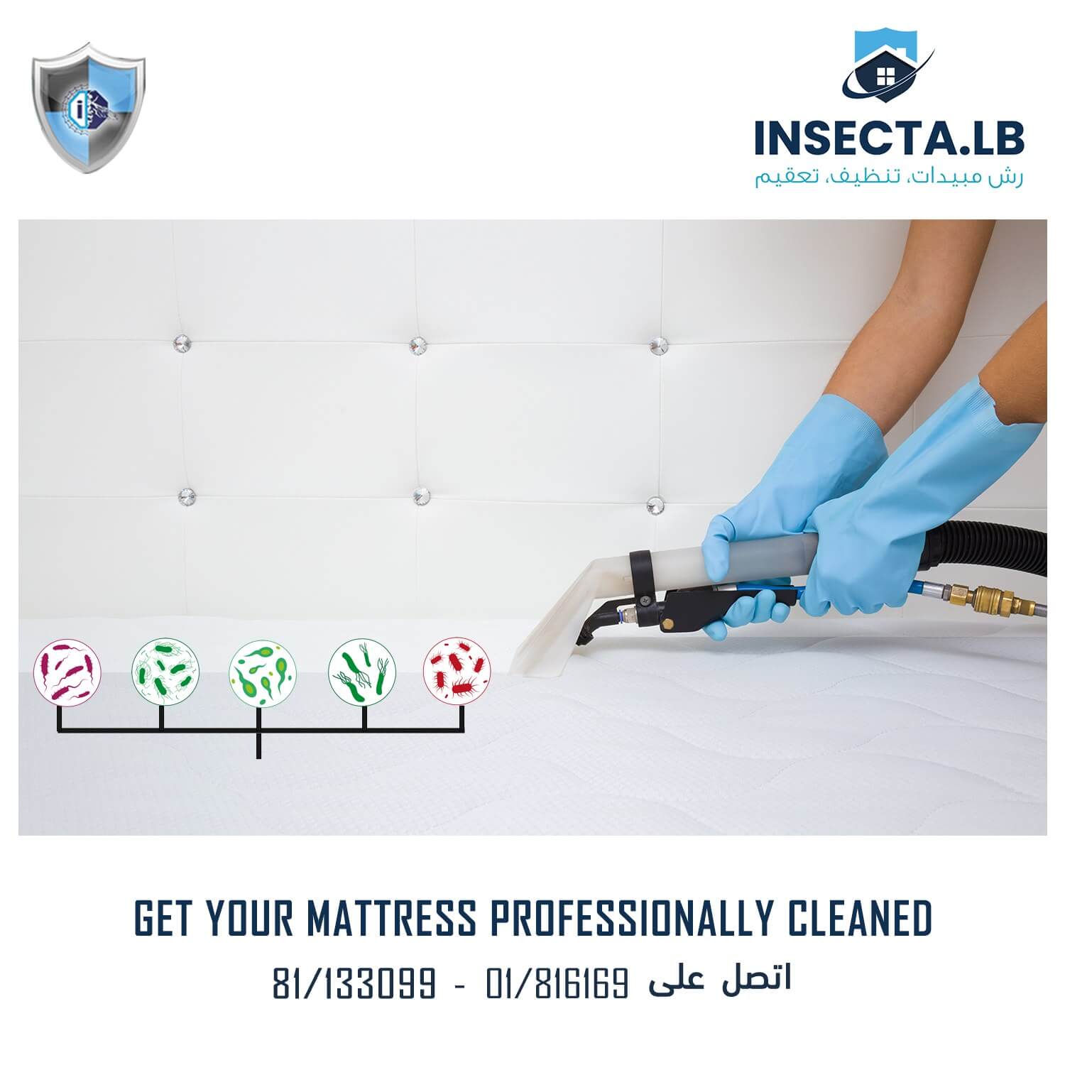 Person cleaning a white mattress with a professional cleaning tool, with bacteria icons.