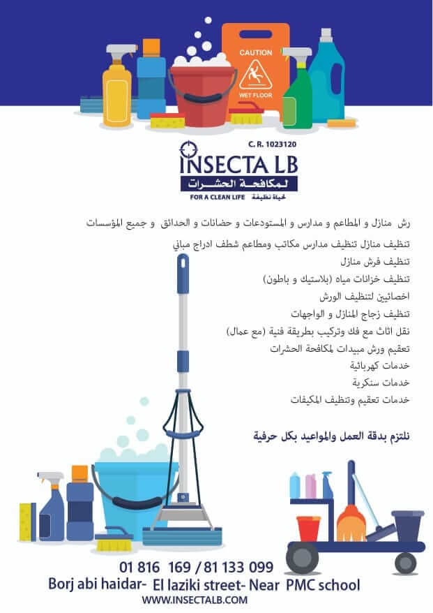 Advertisement for Insecta LB cleaning services with cleaning supplies and a mop. Contact info at the bottom.
