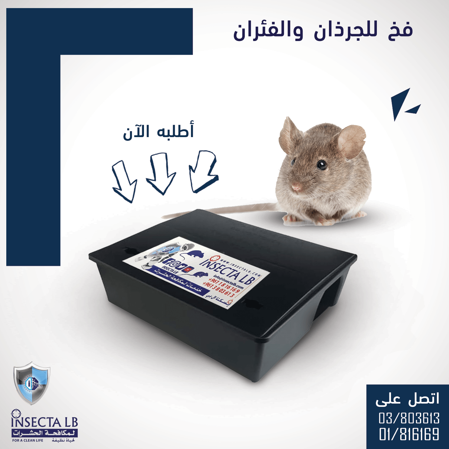 مصيدة فئران سوداء مع أسهم تشير إليها؛ فأر بجانبها؛ نص عربي؛ مخطط ألوان أزرق وأبيض.