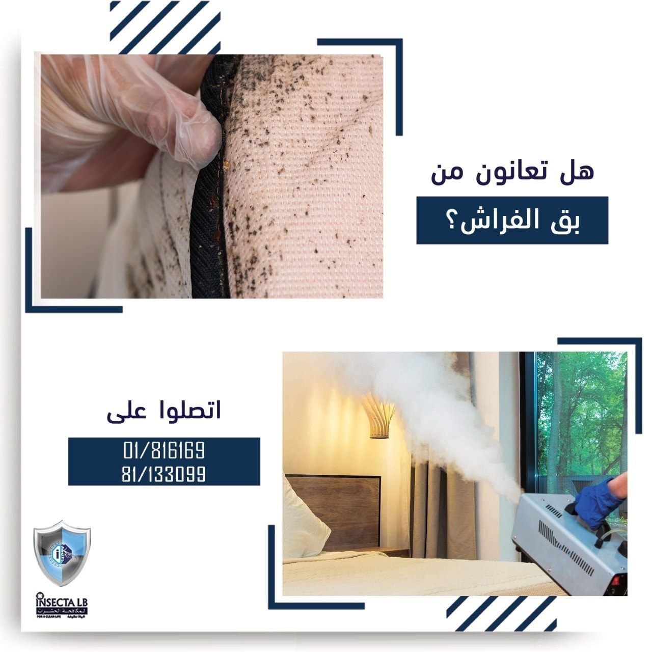 Bed bug inspection and fogging service ad. Showing infested fabric and room fogging.