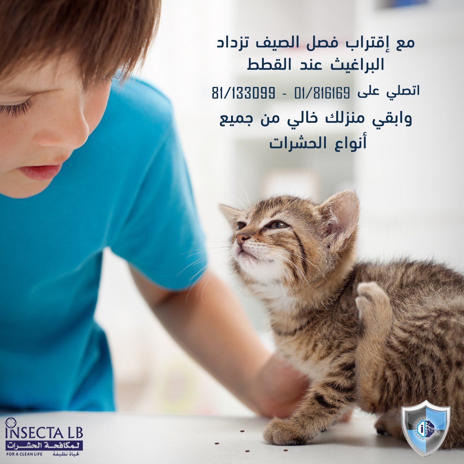 Boy and kitten, boy looks concerned. Text ad for insect control, phone number, and business logo.