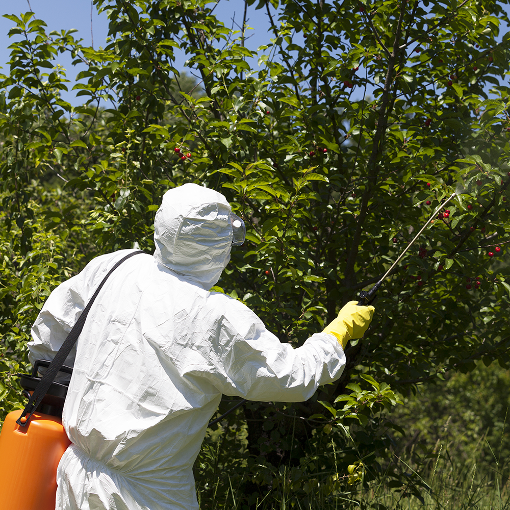 Person in protective suit spraying pesticide on a tree in an outdoor setting.