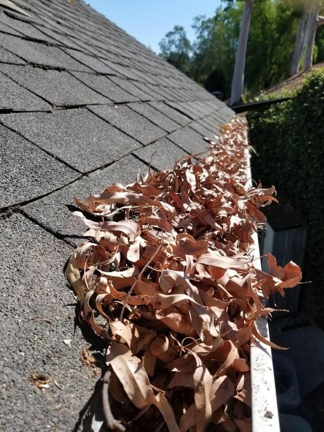 Gutter Cleaning Service Near Me Cary Nc