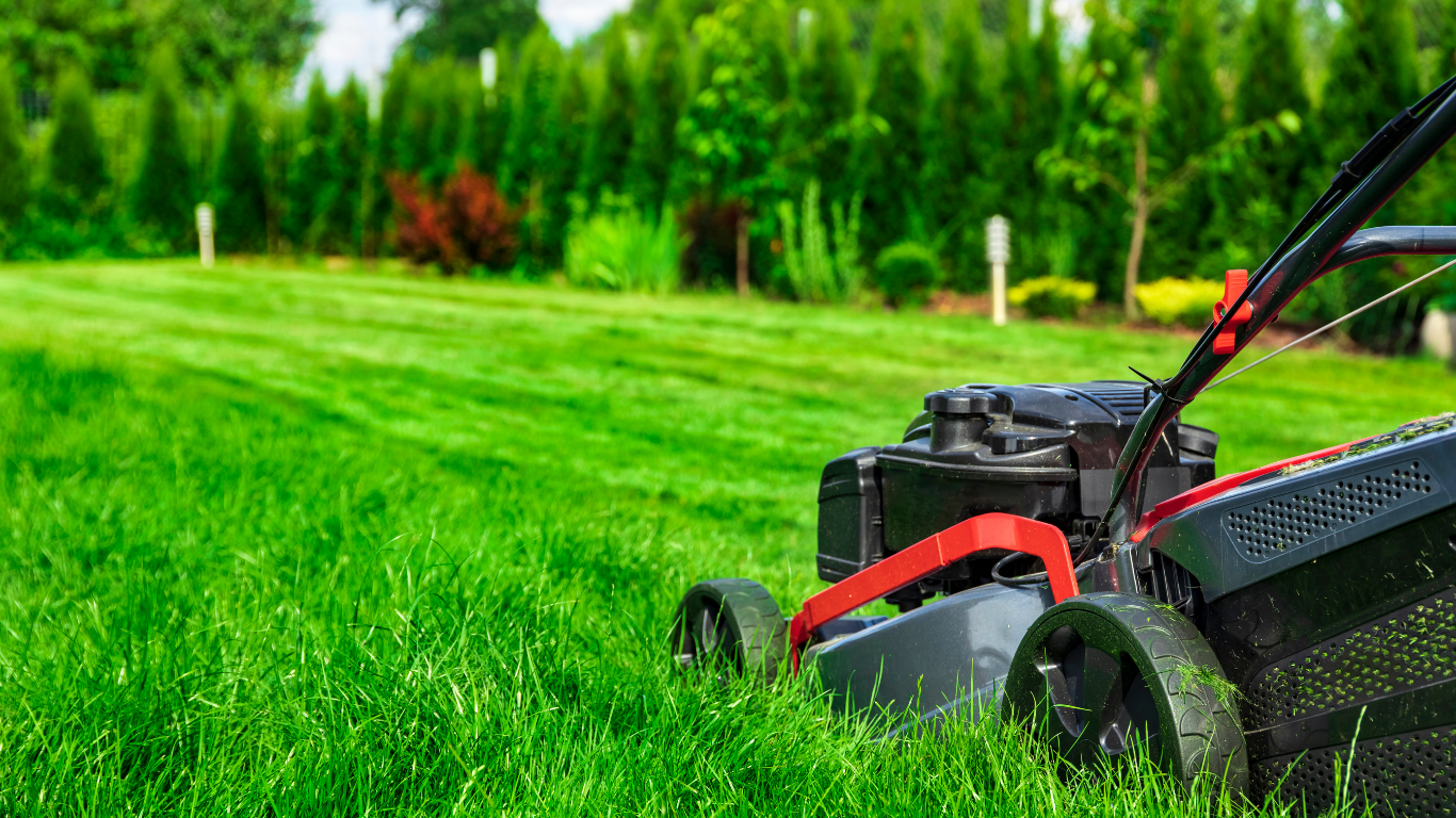 Lawn mower cutting bright green grass in a yard with a backdrop of trees.