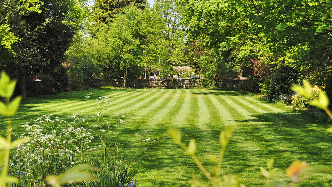Lawn with striped pattern surrounded by lush green trees, bright sunlight.