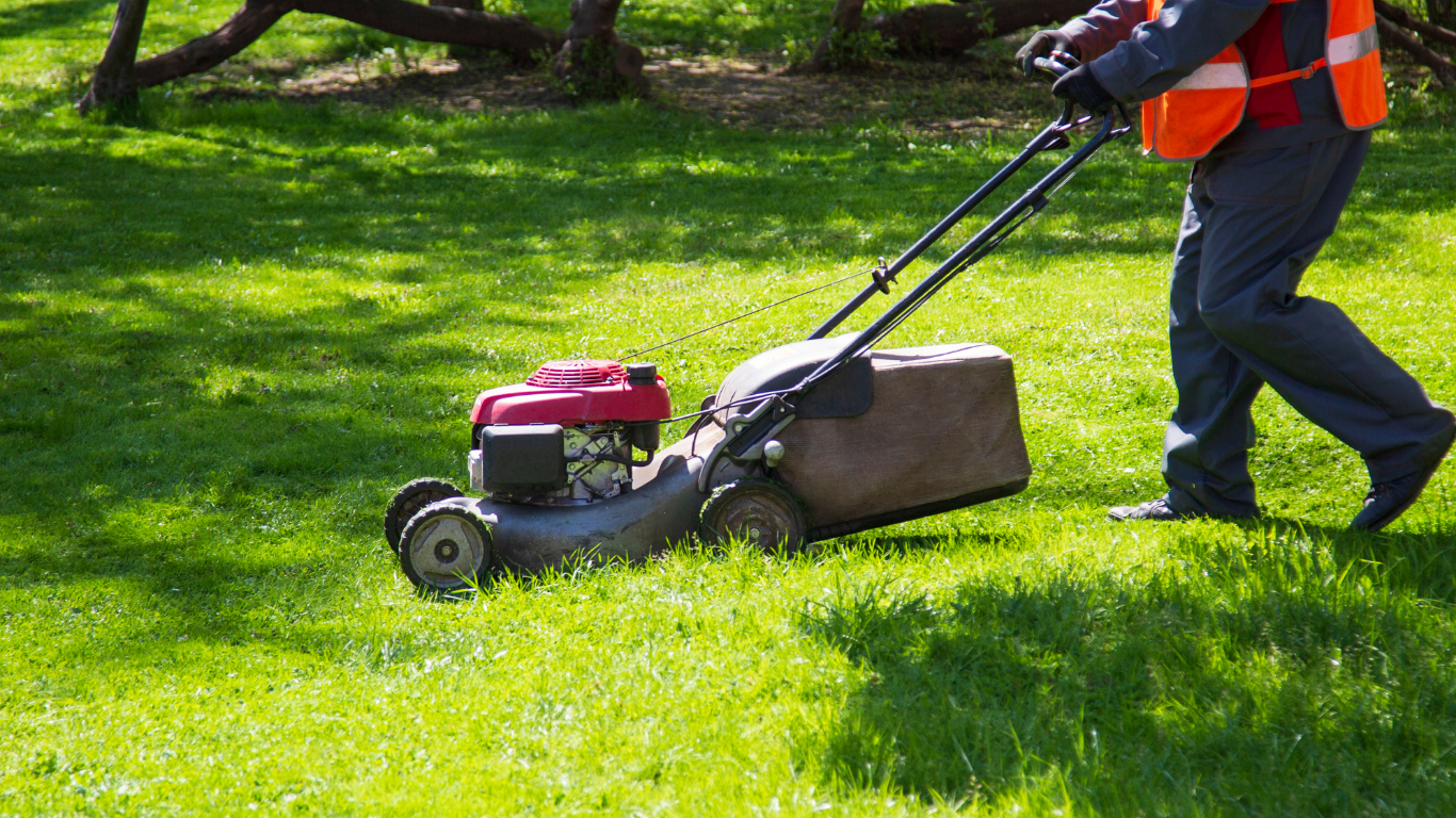 Person mowing a grassy lawn with a red and gray lawnmower; wearing an orange safety vest.
