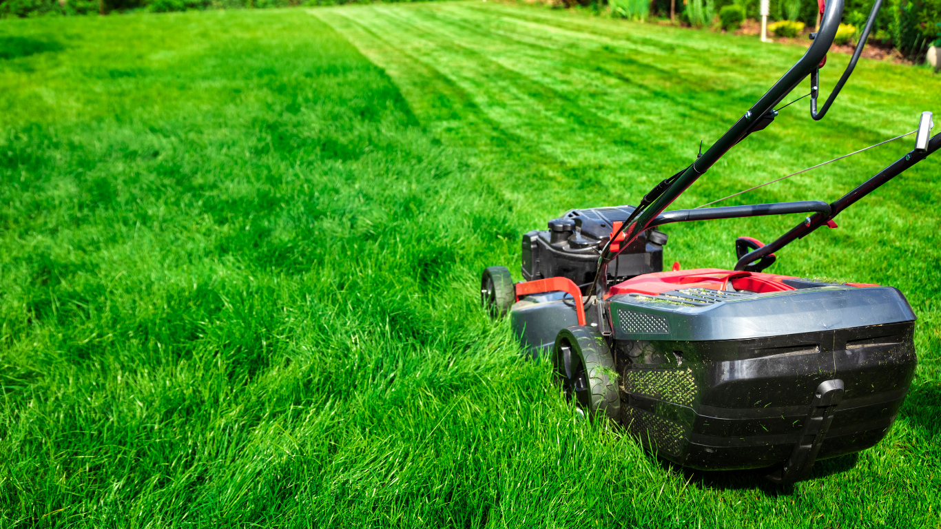 Lawnmower cutting fresh green grass in a sunny yard.