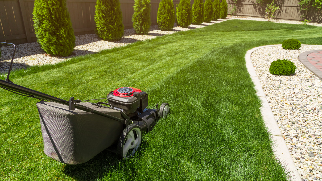Lawn mower cutting a striped pattern in green grass; stone border and shrubbery in background.