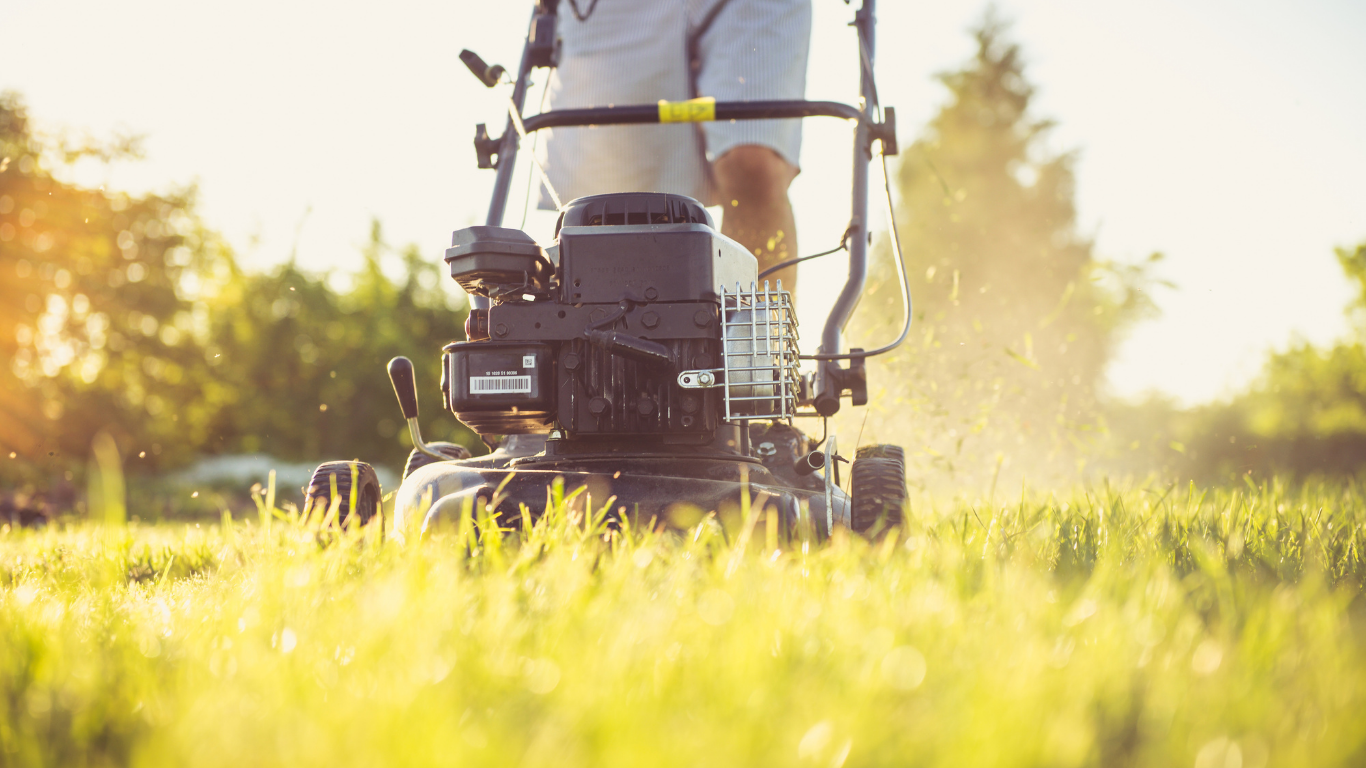 Person mowing a grassy lawn with a black lawnmower in bright sunlight.