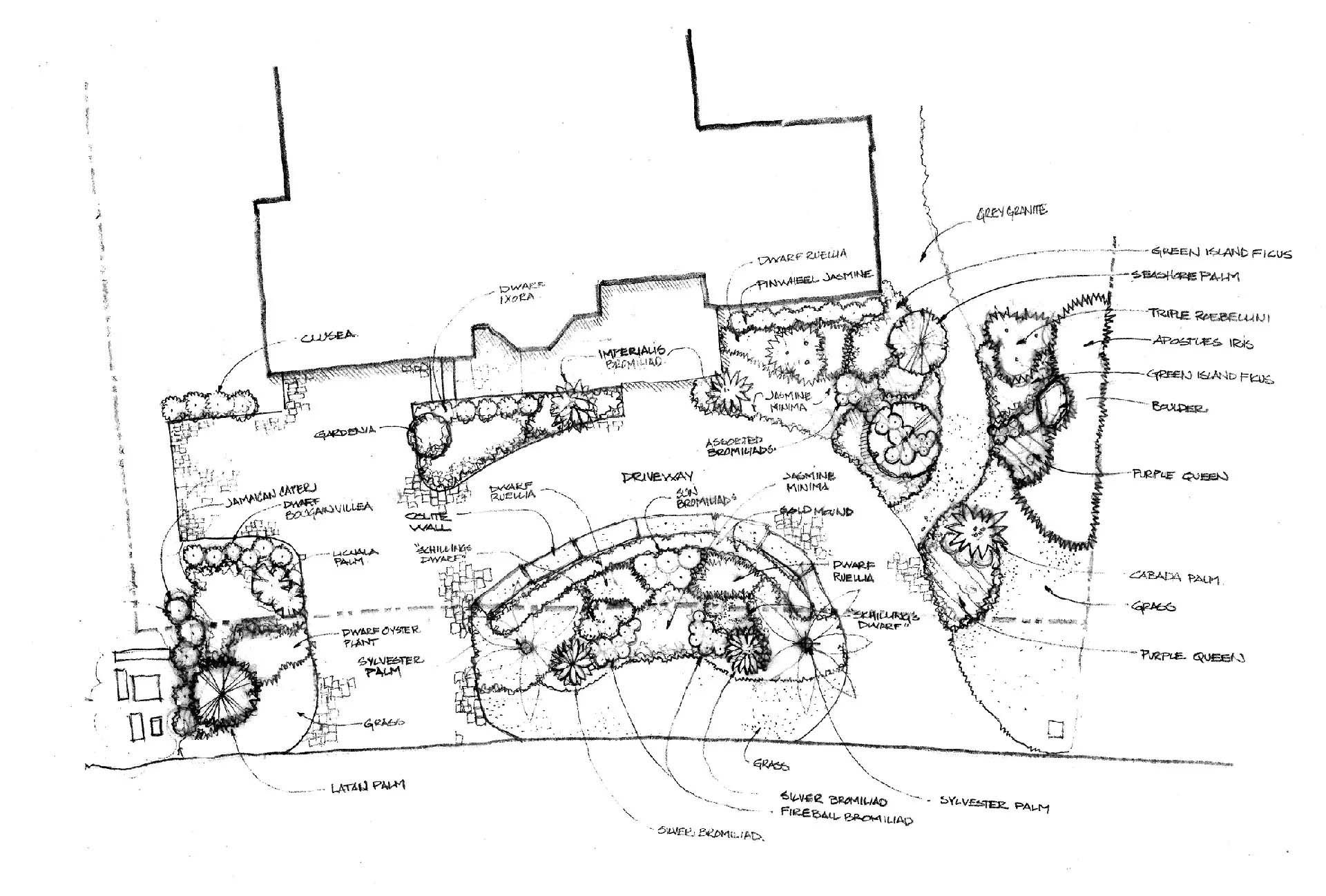 Hand-drawn landscape design plan, featuring a curving walkway, garden beds, and building outline