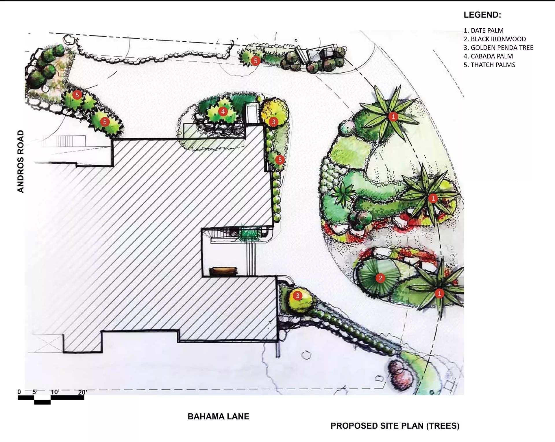 Proposed site plan of a house with landscaping, including a driveway and planted beds with trees and shrubs