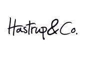 Et håndskrevet logo til hastrip & co. på hvid baggrund.