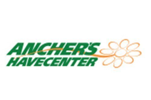 A green and orange logo for anchers havecenter