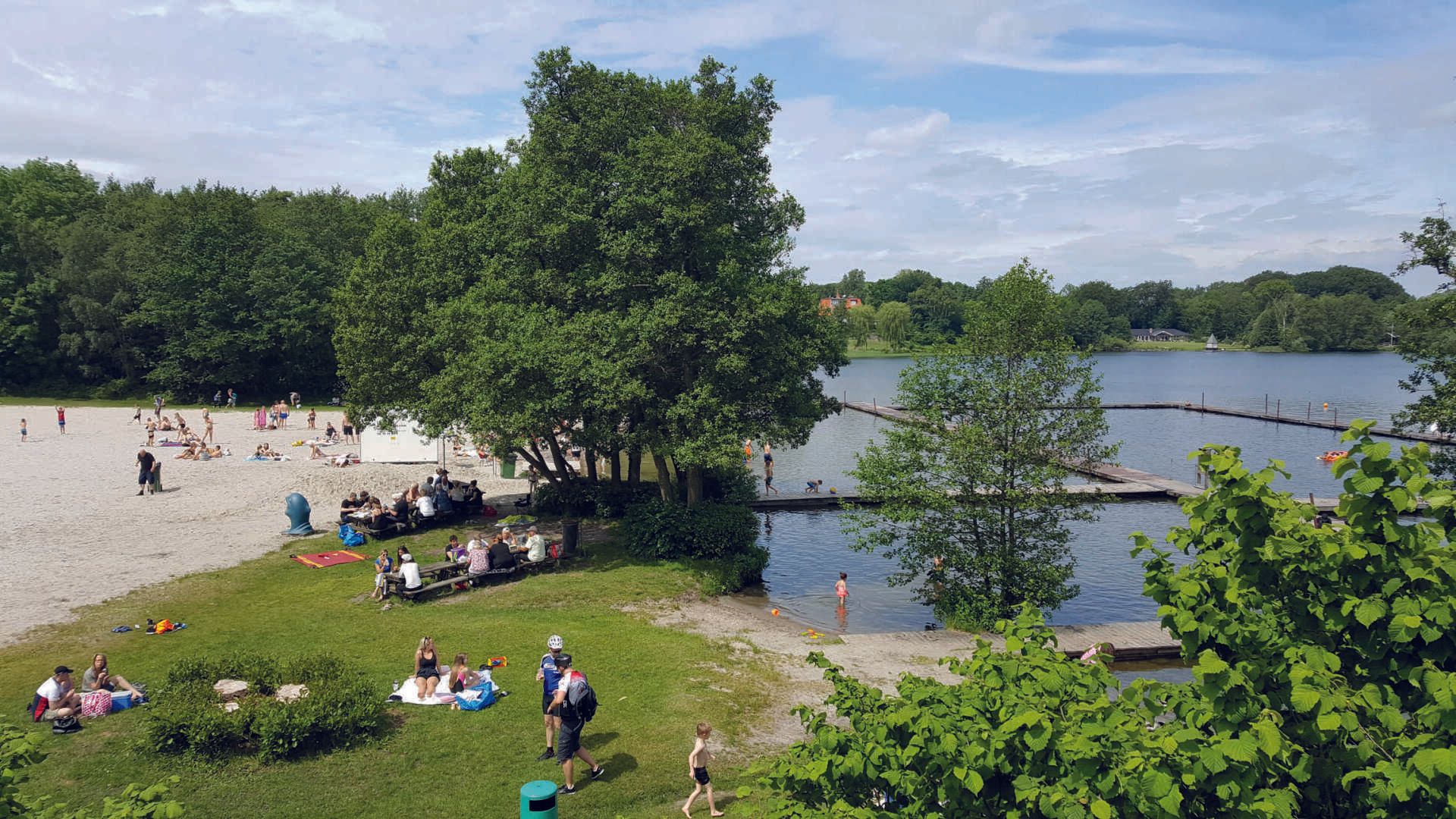 En gruppe mennesker sidder på græsset nær en sø.