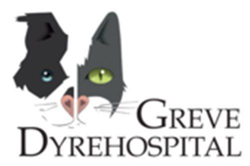 Et logo for greve dyrehospital med en sort kat