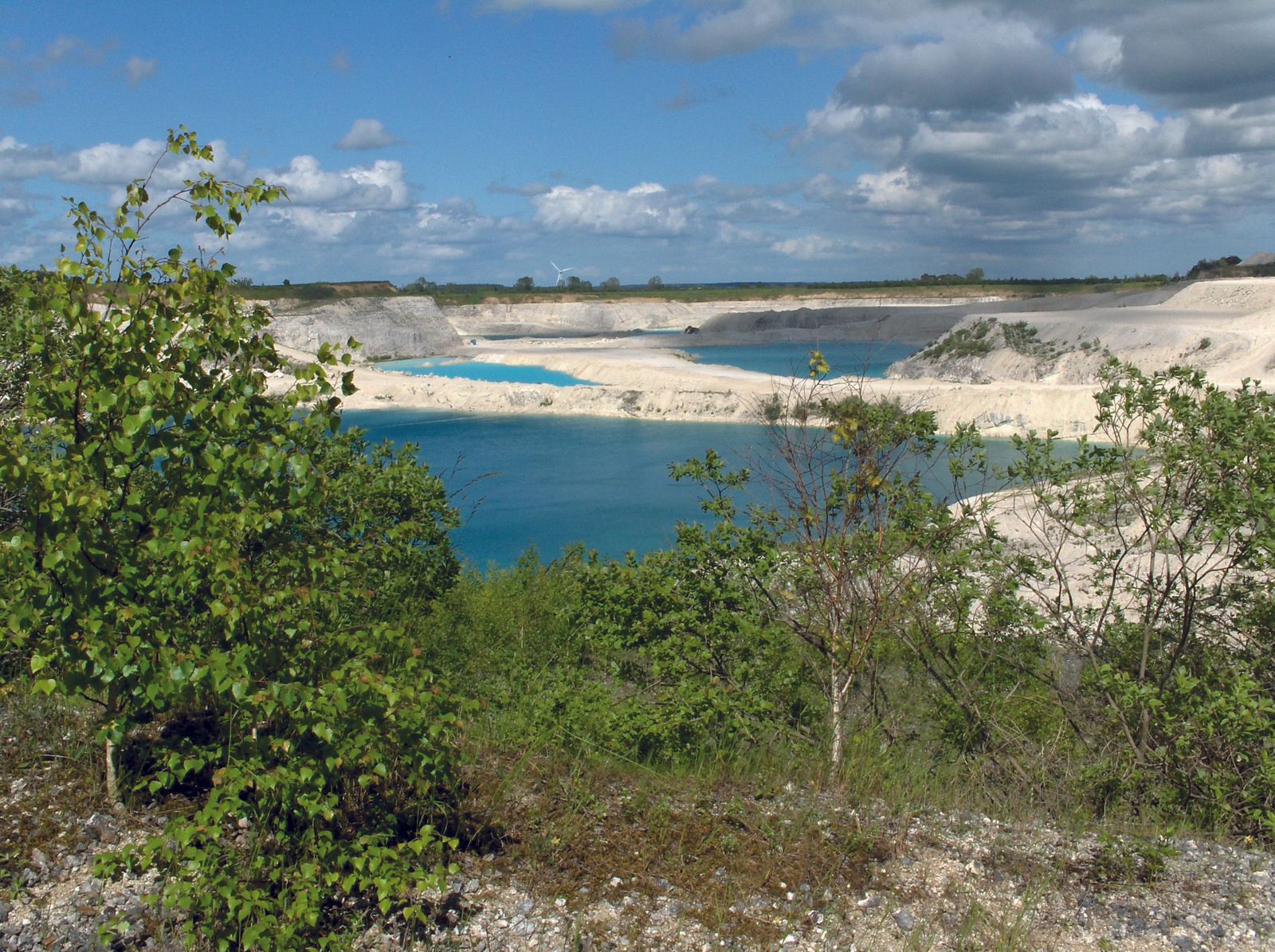 Et stort vandområde omgivet af træer og buske.