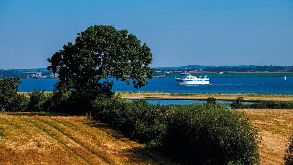 En båd flyder på vandet nær en mark med et træ i forgrunden.