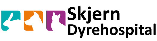 Logoet for skjern dyrehospital har en kat og en kanin på.