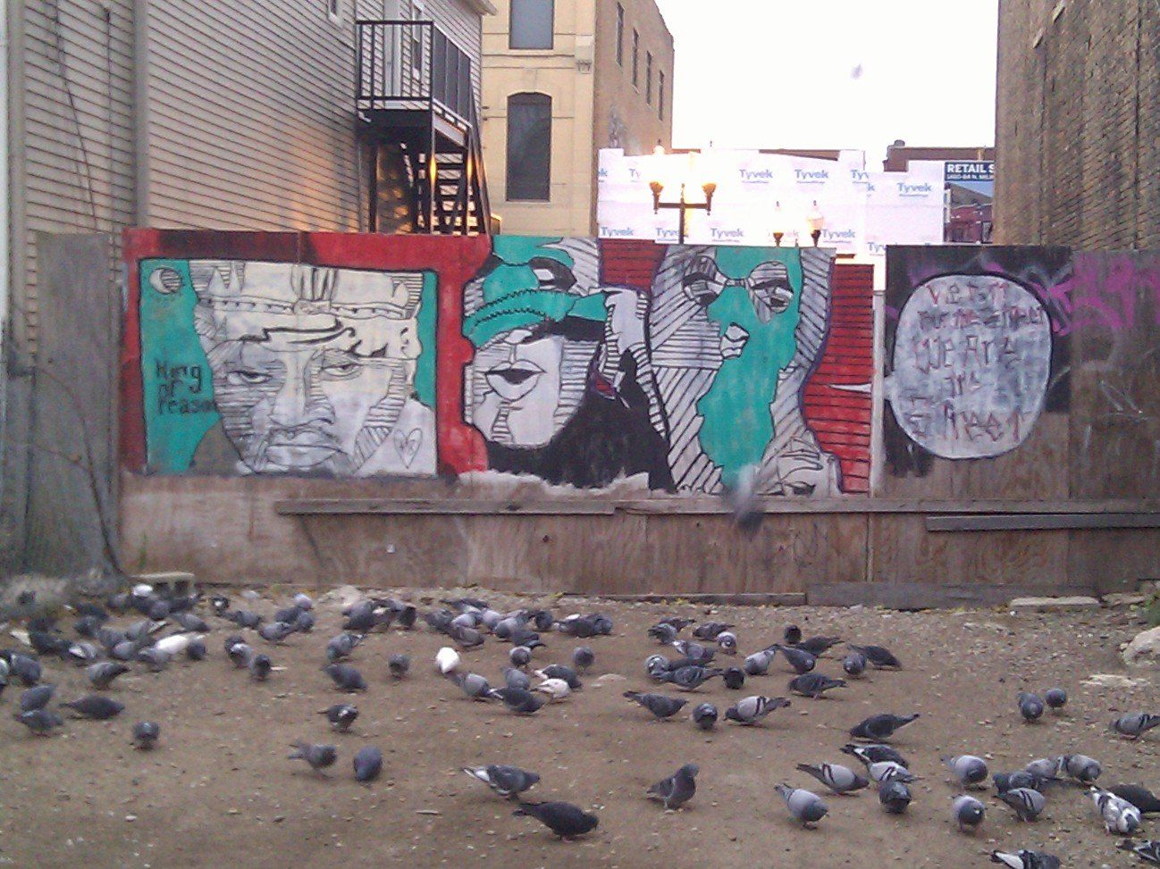 A bunch of pigeons are standing in front of a wall with graffiti on it
