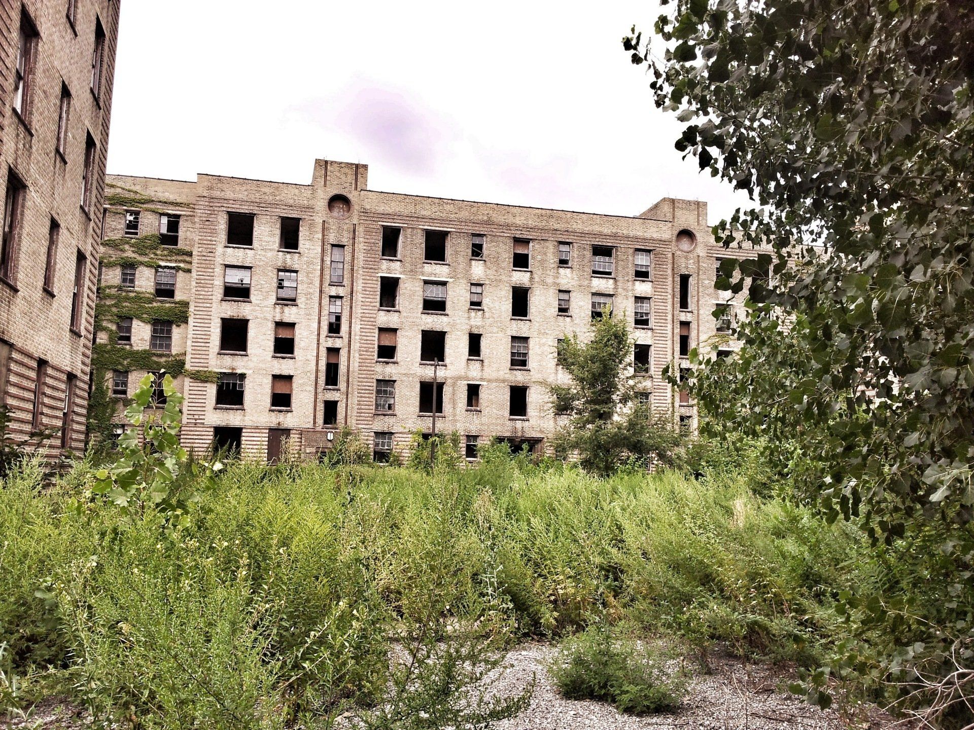A large building with a lot of windows is surrounded by tall grass and trees.