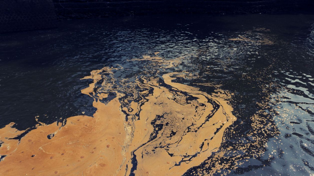 Contaminated Water — Waste Disposal in Murwillumbah, NSW