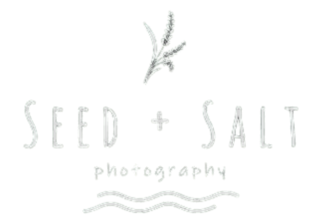 Seed + Salt Photography - Family & Wedding Photographer in Port Macquarie