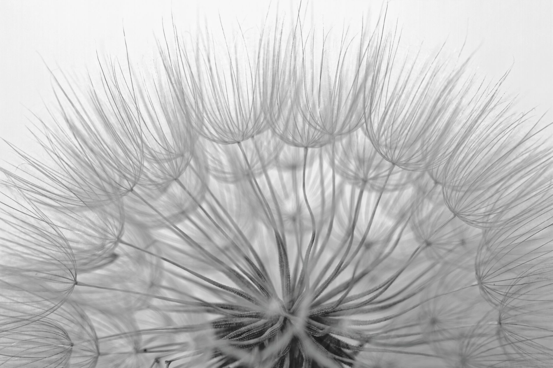 icona - sala del commiato