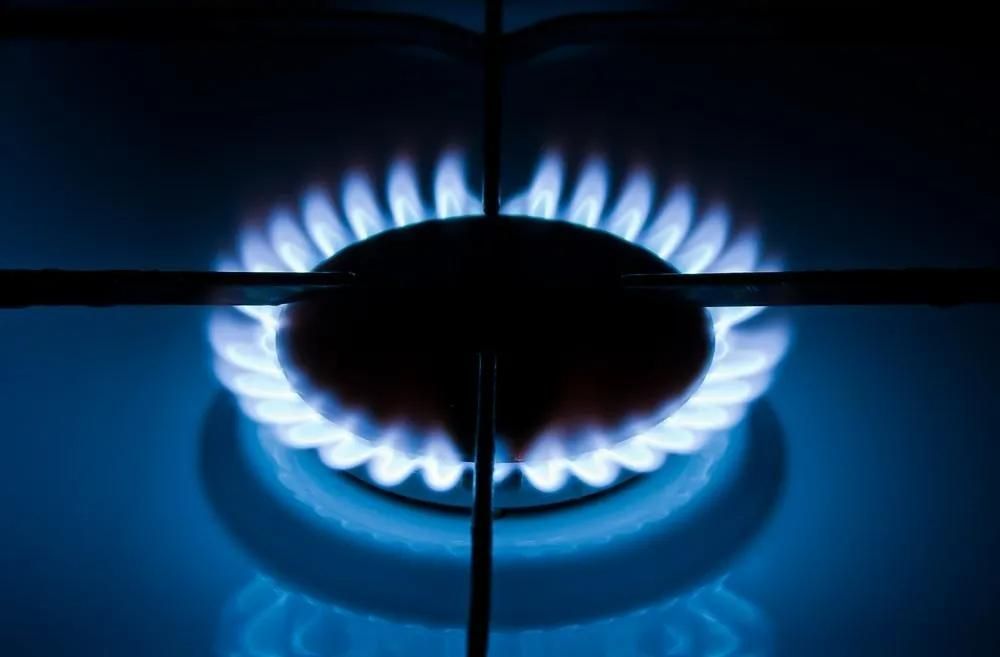 A Close up Of a Gas Burner with Blue Flames — Gillespie Plumbing in Grafton, NSW