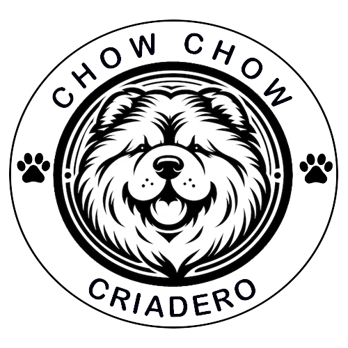 chow chow en venta
