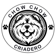 chow chow venta