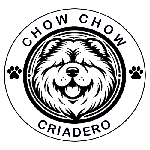 chow chow venta