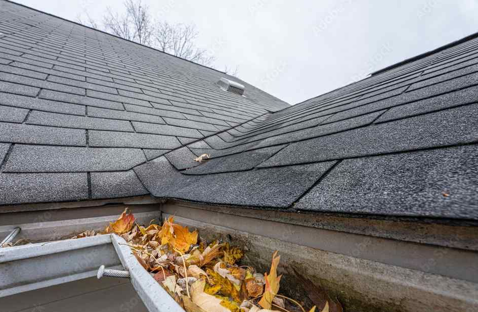 Gutter Cleaning