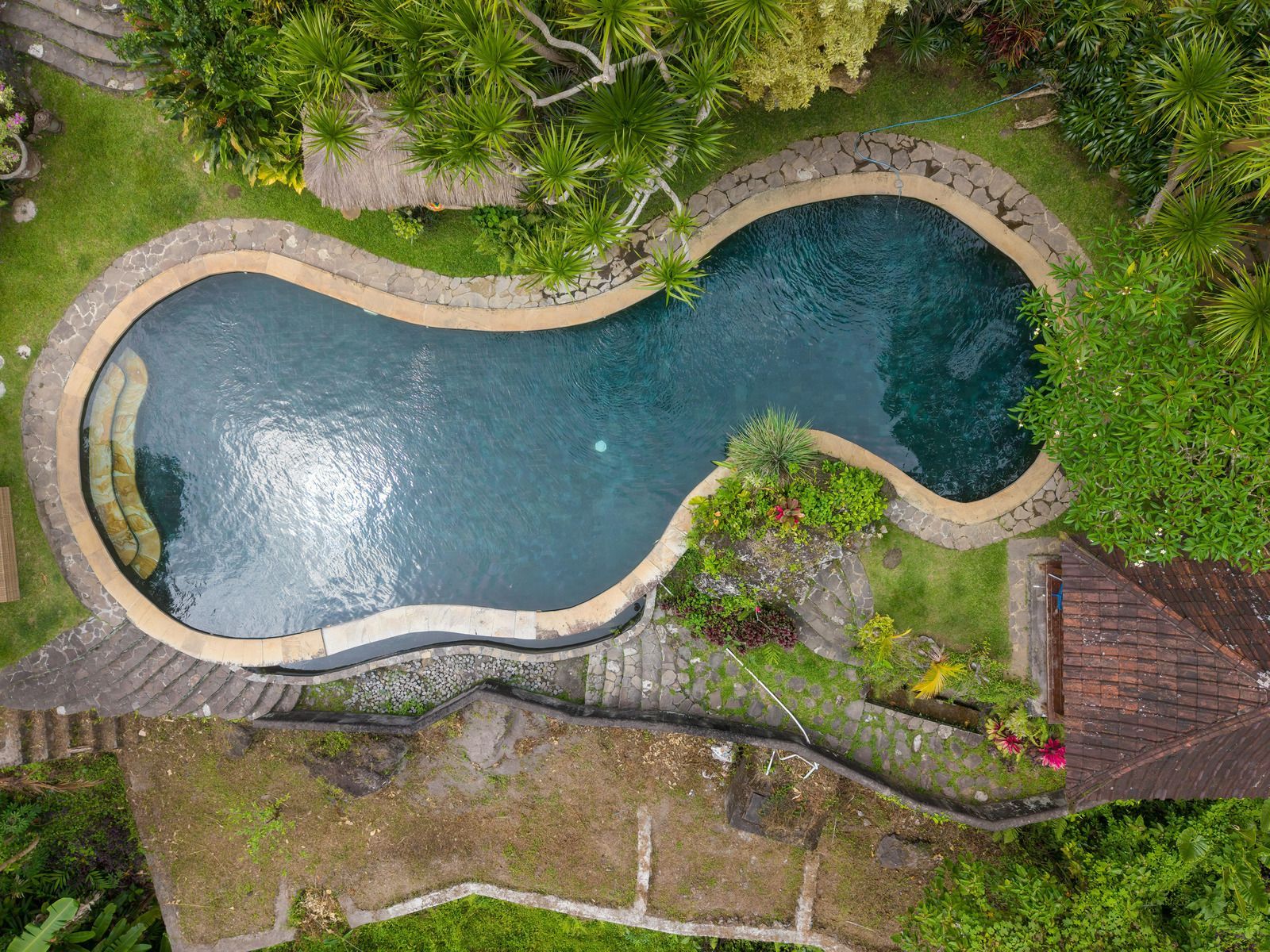 A pond surrounded by green grass and weeping willow trees under a clear blue sky.