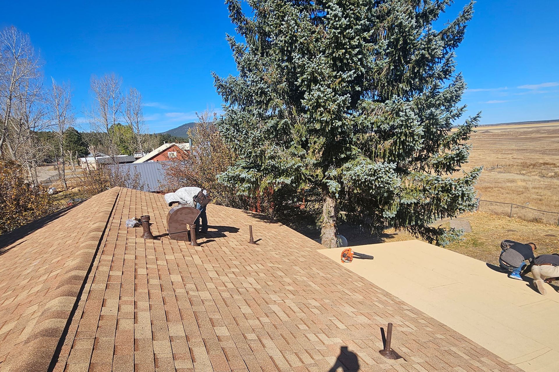 Working on the Roof of a House With a Tree — Flagstaff, AZ — Northern Arizona Building and Investments