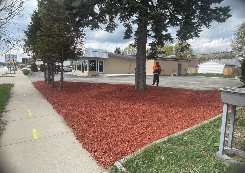 Sidewalk bordered by red mulch and trees, with a building in the background. A person stands near the building.