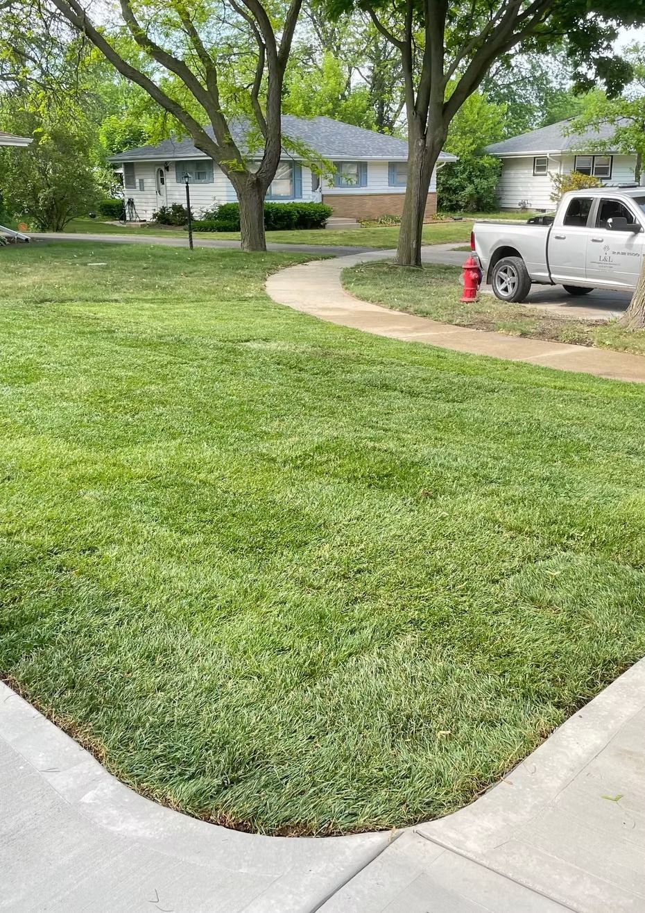 Lush green lawn in a residential neighborhood with a curved sidewalk and houses in the background.