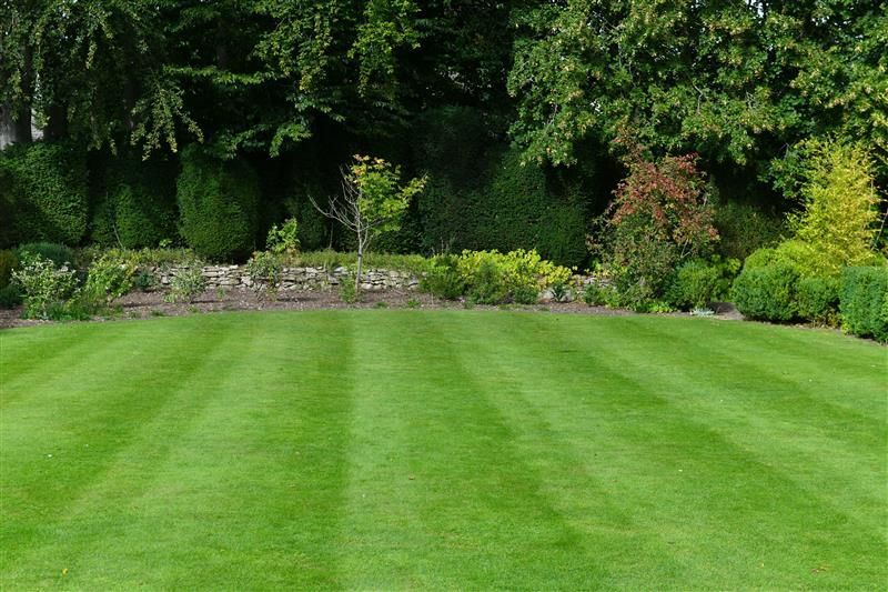 Lush, green lawn with neat stripes, bordering a garden with varied shrubs and trees.