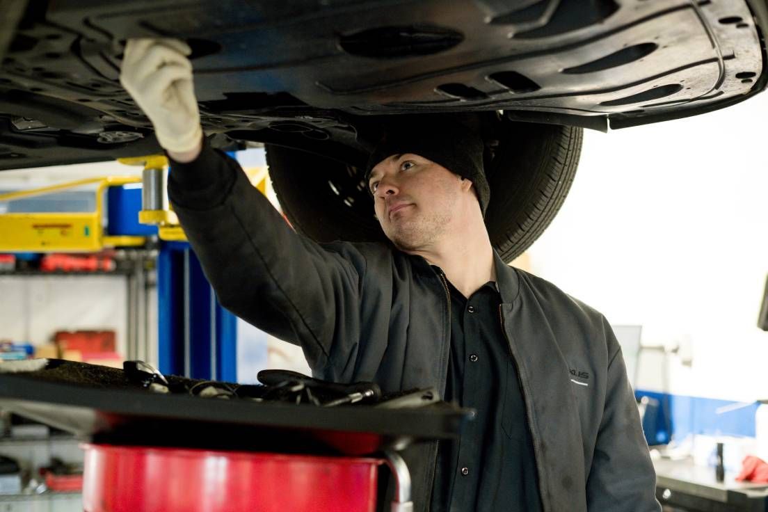 Gallery Photo 10 | Brake | Berkeley Bob's