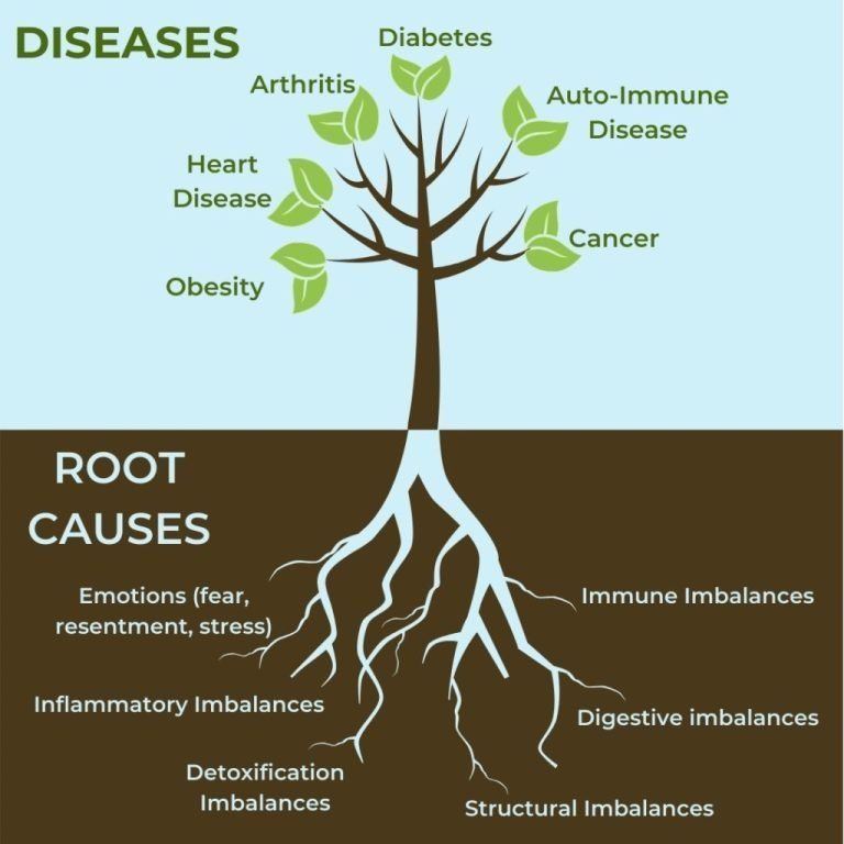 Diagram showing diseases as leaves on a tree, with the roots representing the root causes: emotions, inflammatory imbalances, detoxification, immune imbalances, digestive imbalances, and structural imbalances.