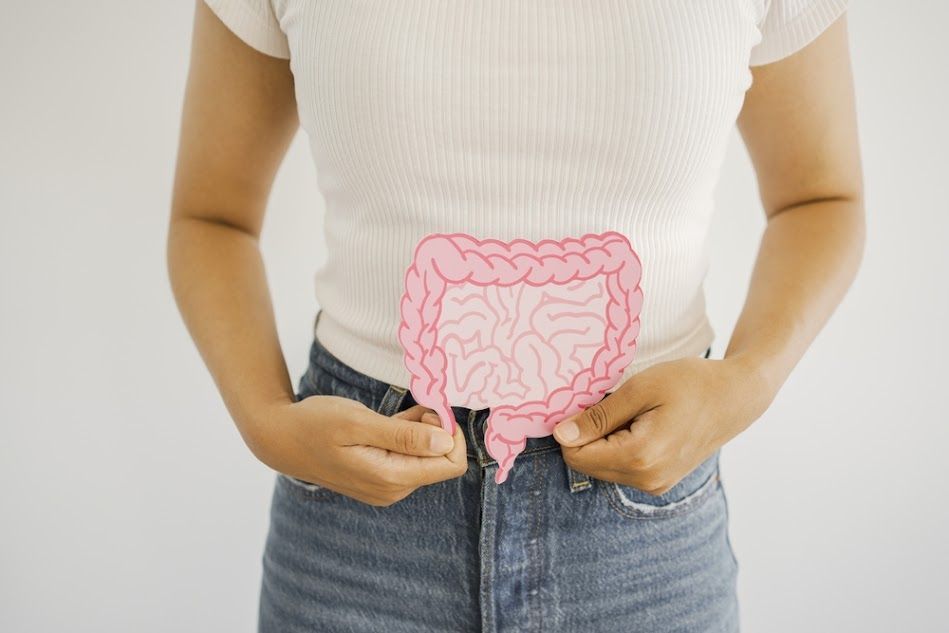 A person holds a pink paper cutout of an intestine over their stomach. They wear a white shirt and jeans.