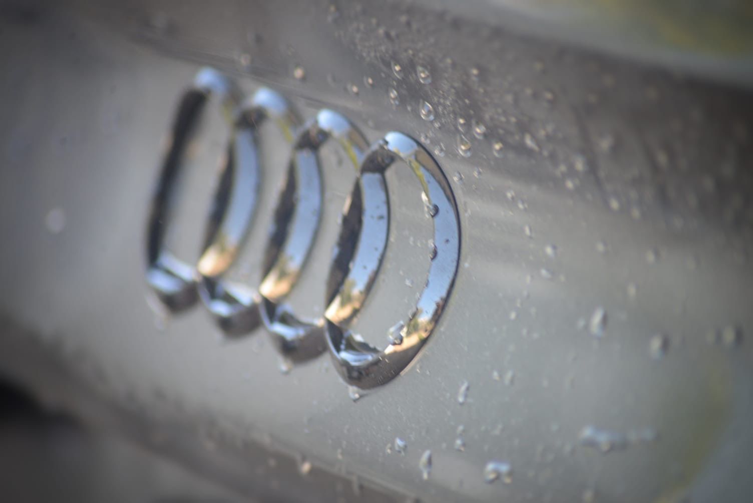 A Close Up of a Bmw Logo on the Hood of a Car — Best Car Detailing in Vincent, QLD