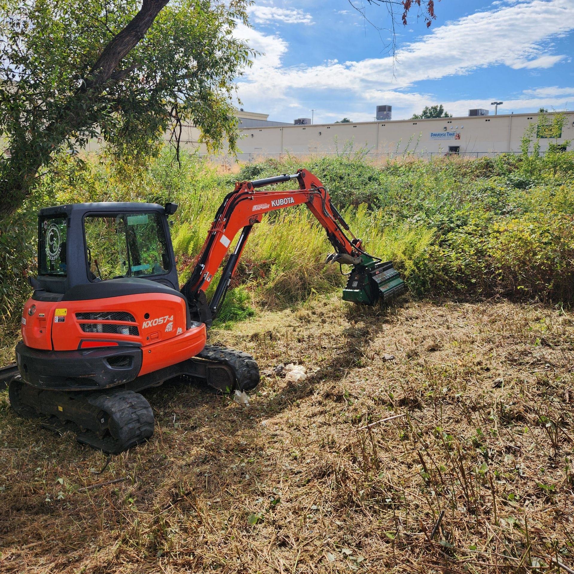 Excavator clearing brush and trees on residential land in Medford Oregon